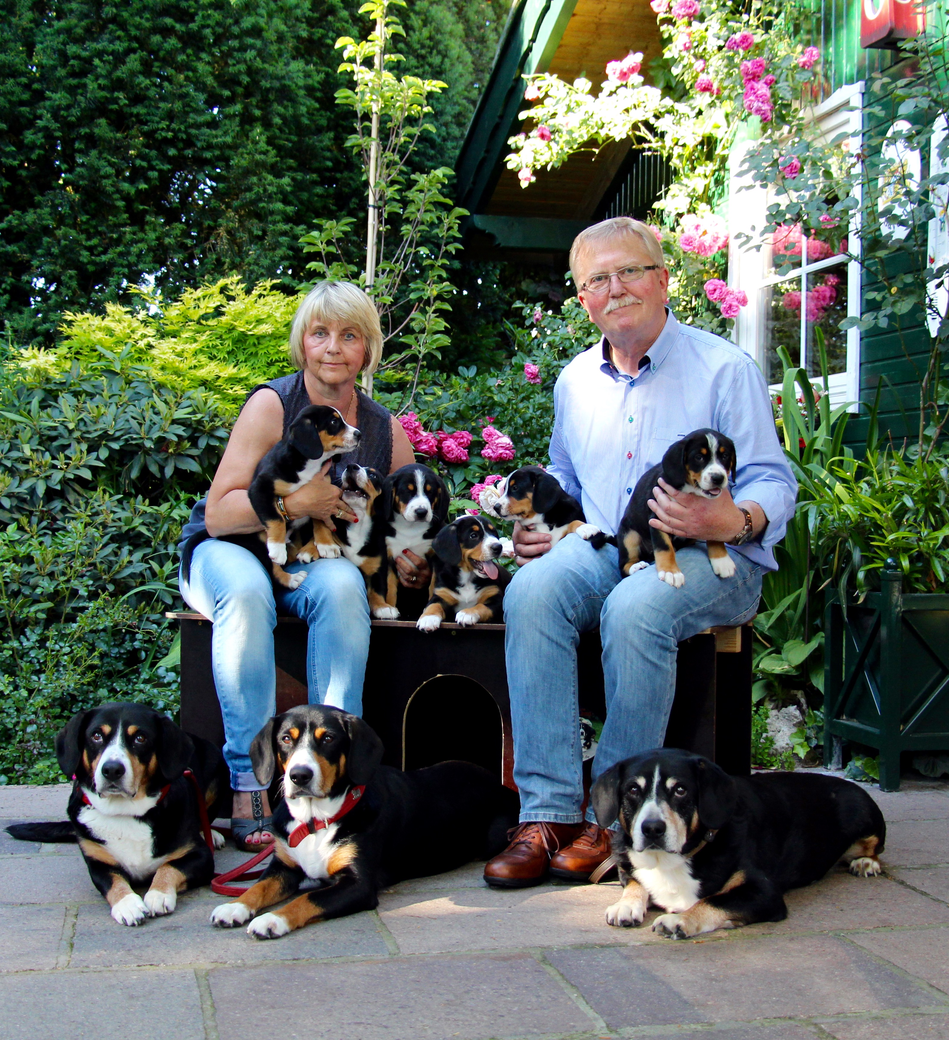 Hunde Stermann Juni 2015 52 Kopie