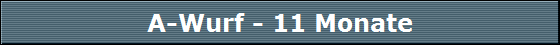 A-Wurf - 11 Monate