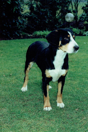 Babette von Gellershagen