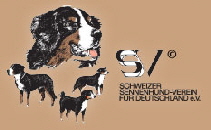 SSV Logo