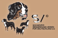 SSV Logo